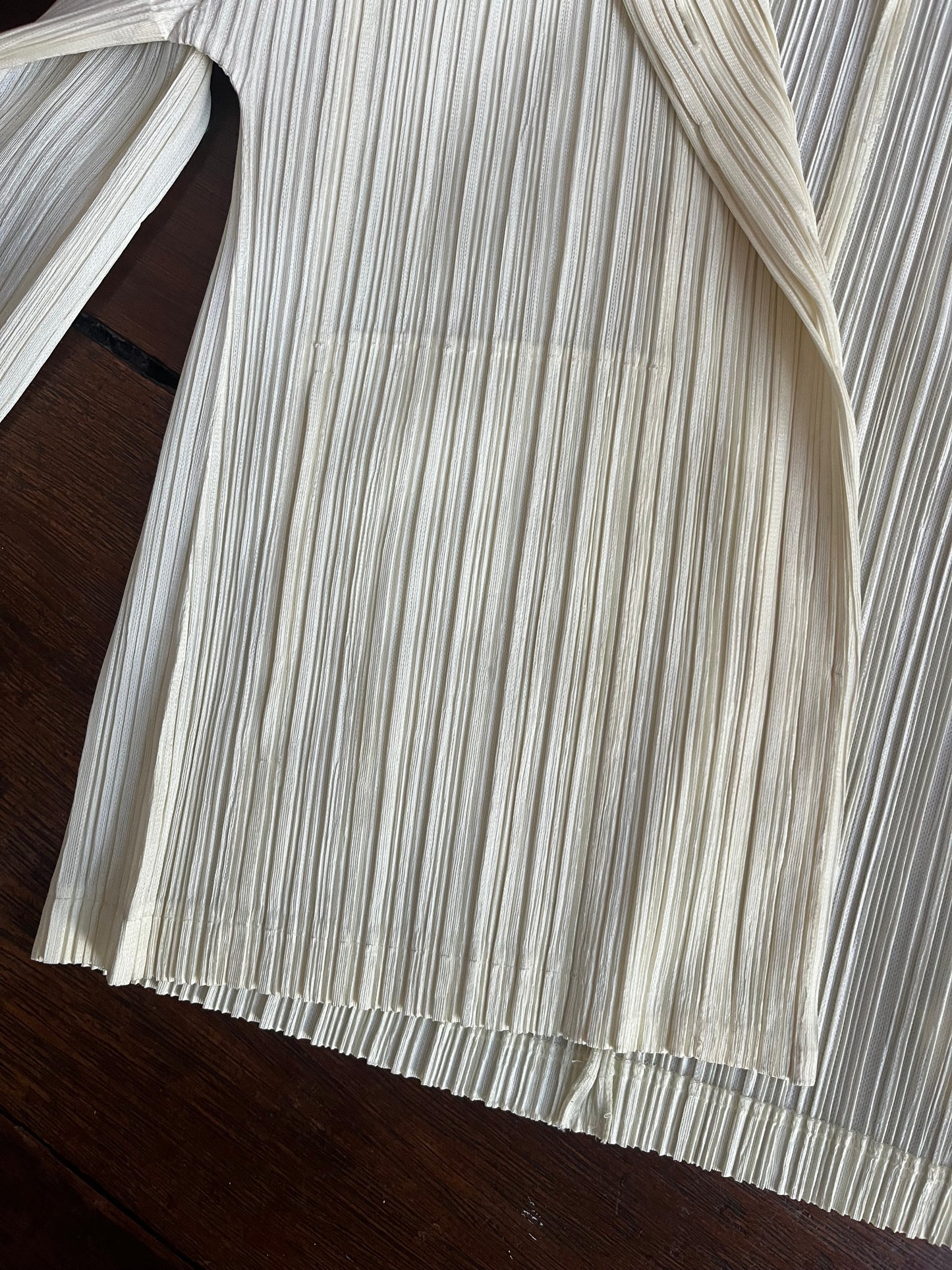 no 2495 / ISSEY MIYAKE PLEATS PLEASE