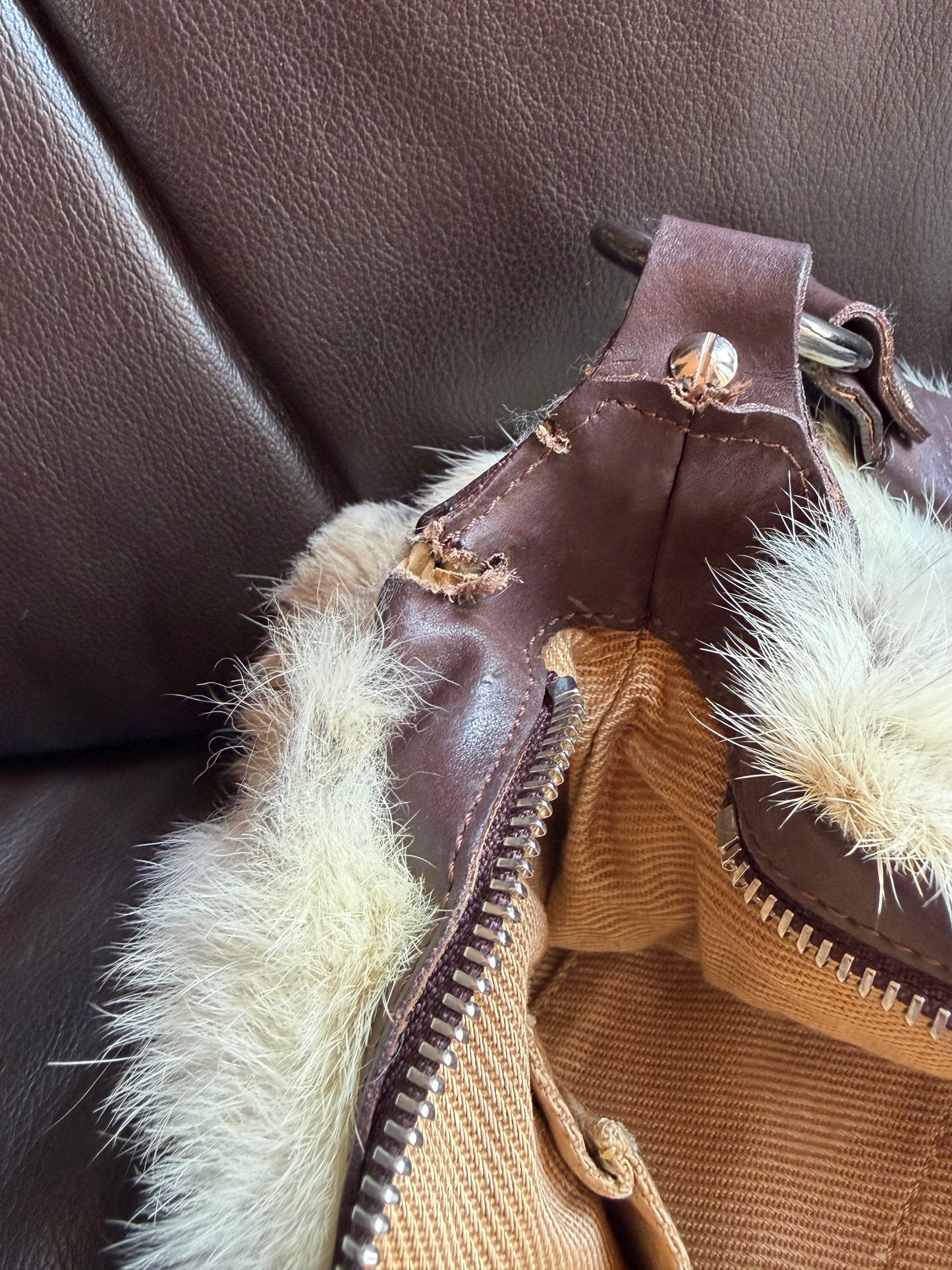 no 2532 / FRANCESCO BIASIA