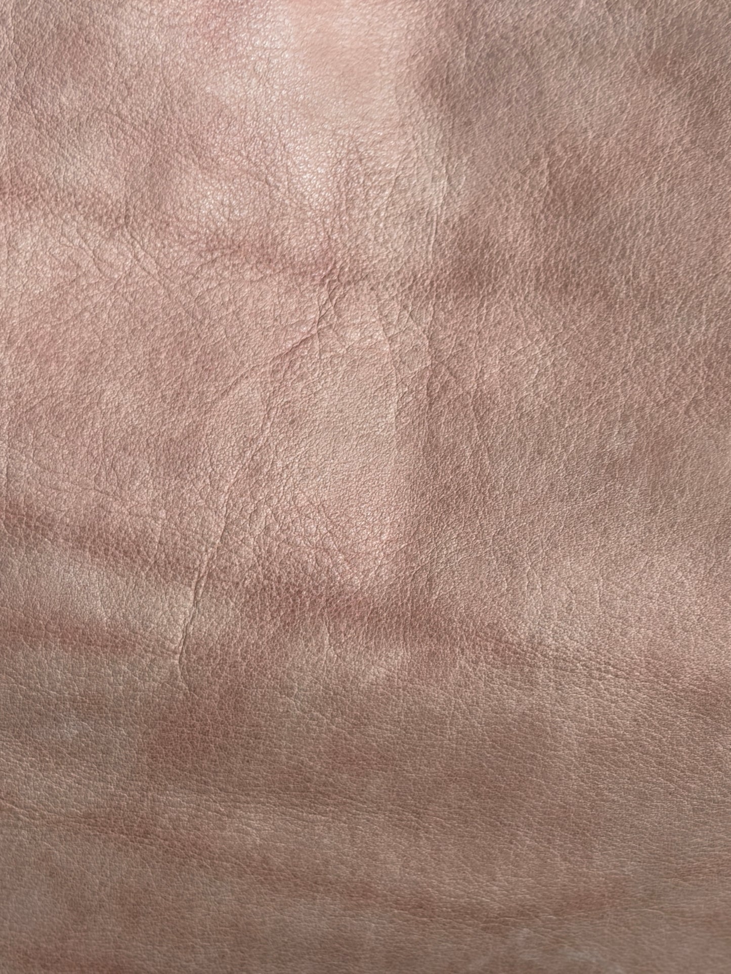 no 3229 /