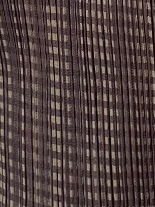 no 2489 / ISSEY MIYAKE PLEATS PLEASE