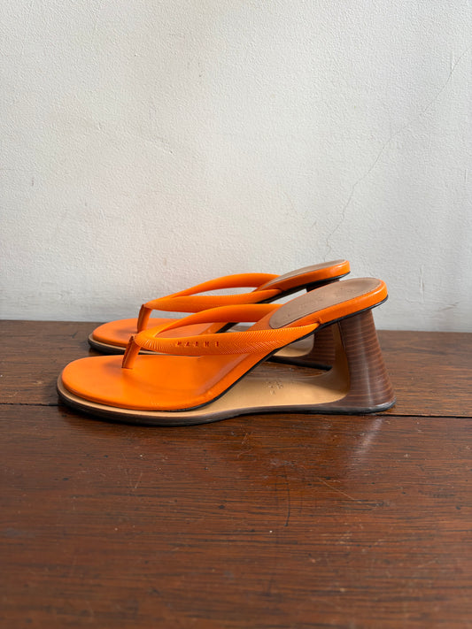 no 3026 / MARNI