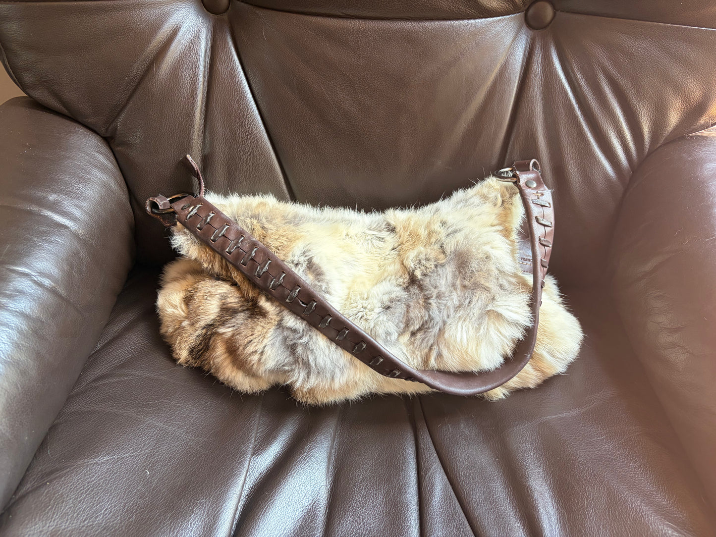 no 2532 / FRANCESCO BIASIA