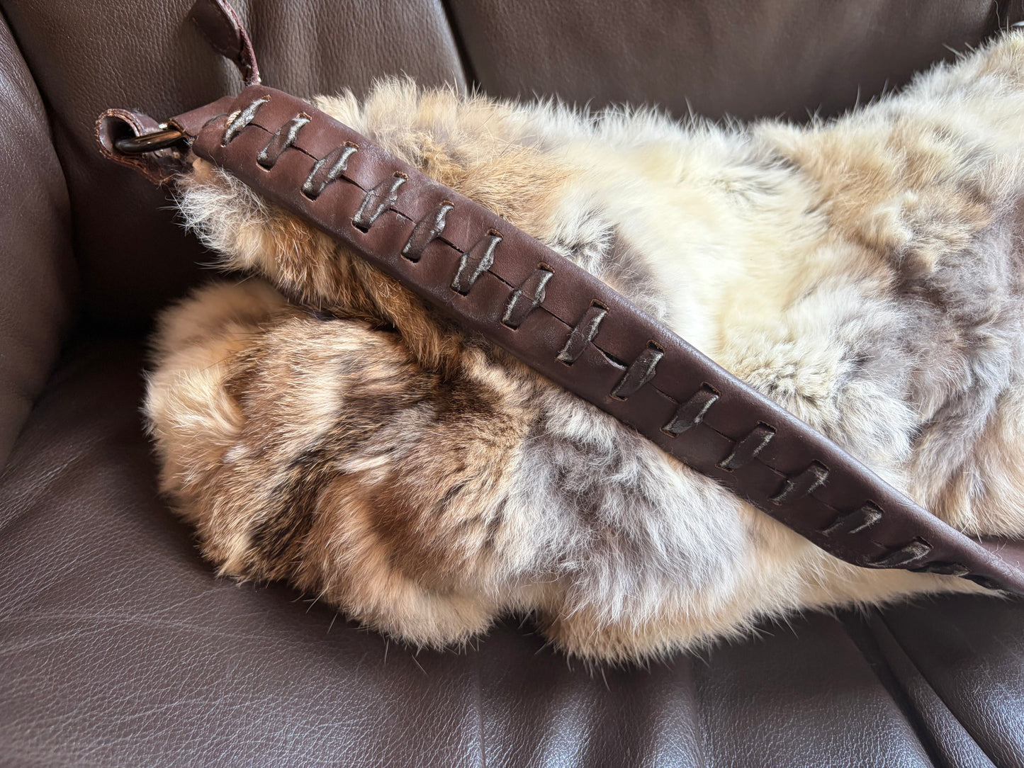 no 2532 / FRANCESCO BIASIA