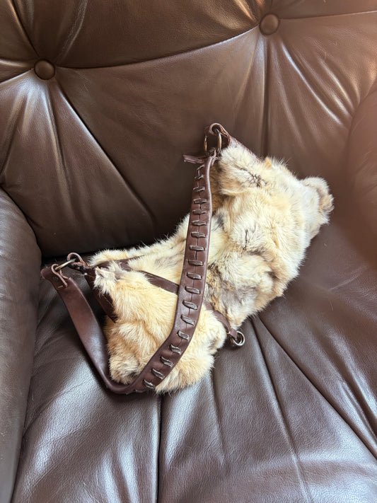 no 2532 / FRANCESCO BIASIA