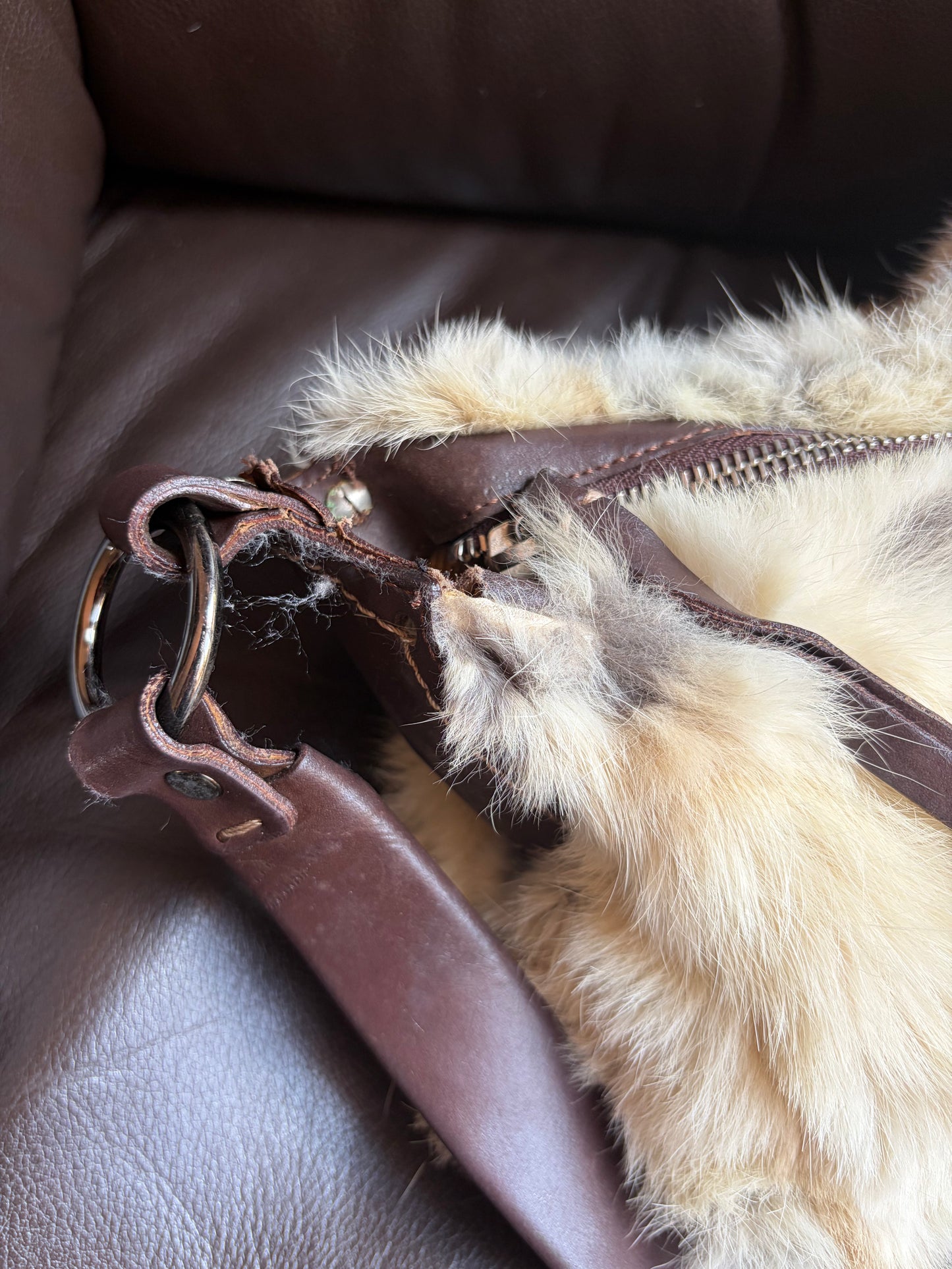 no 2532 / FRANCESCO BIASIA