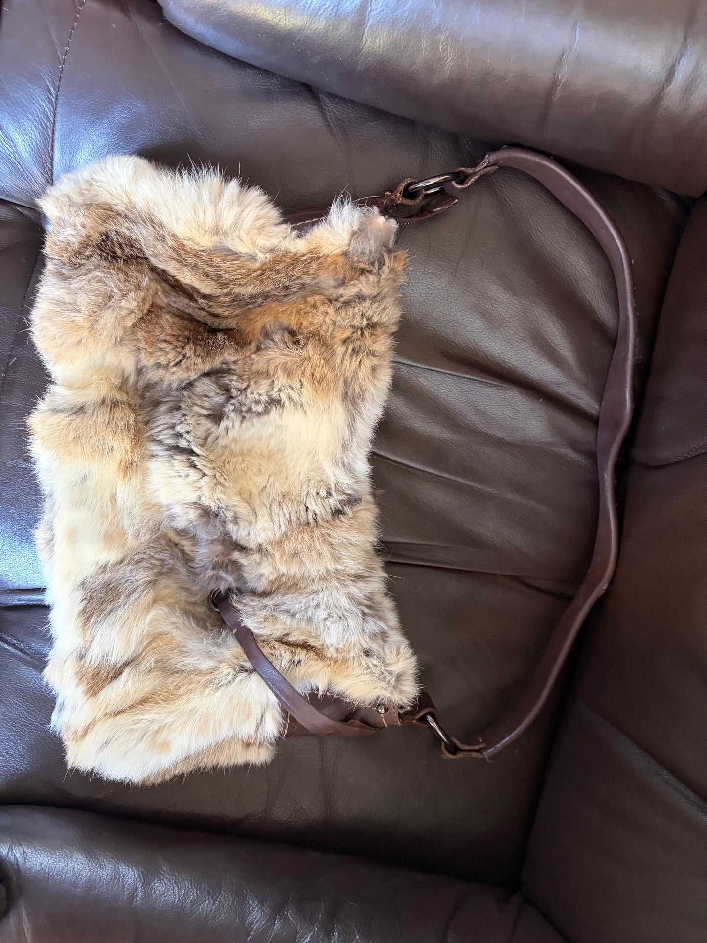 no 2532 / FRANCESCO BIASIA