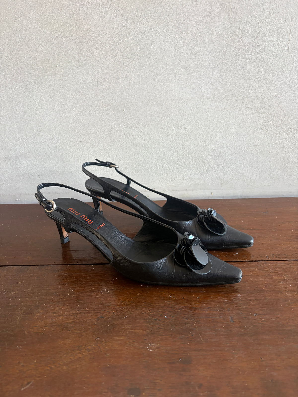 no 3339 / MIU MIU 36