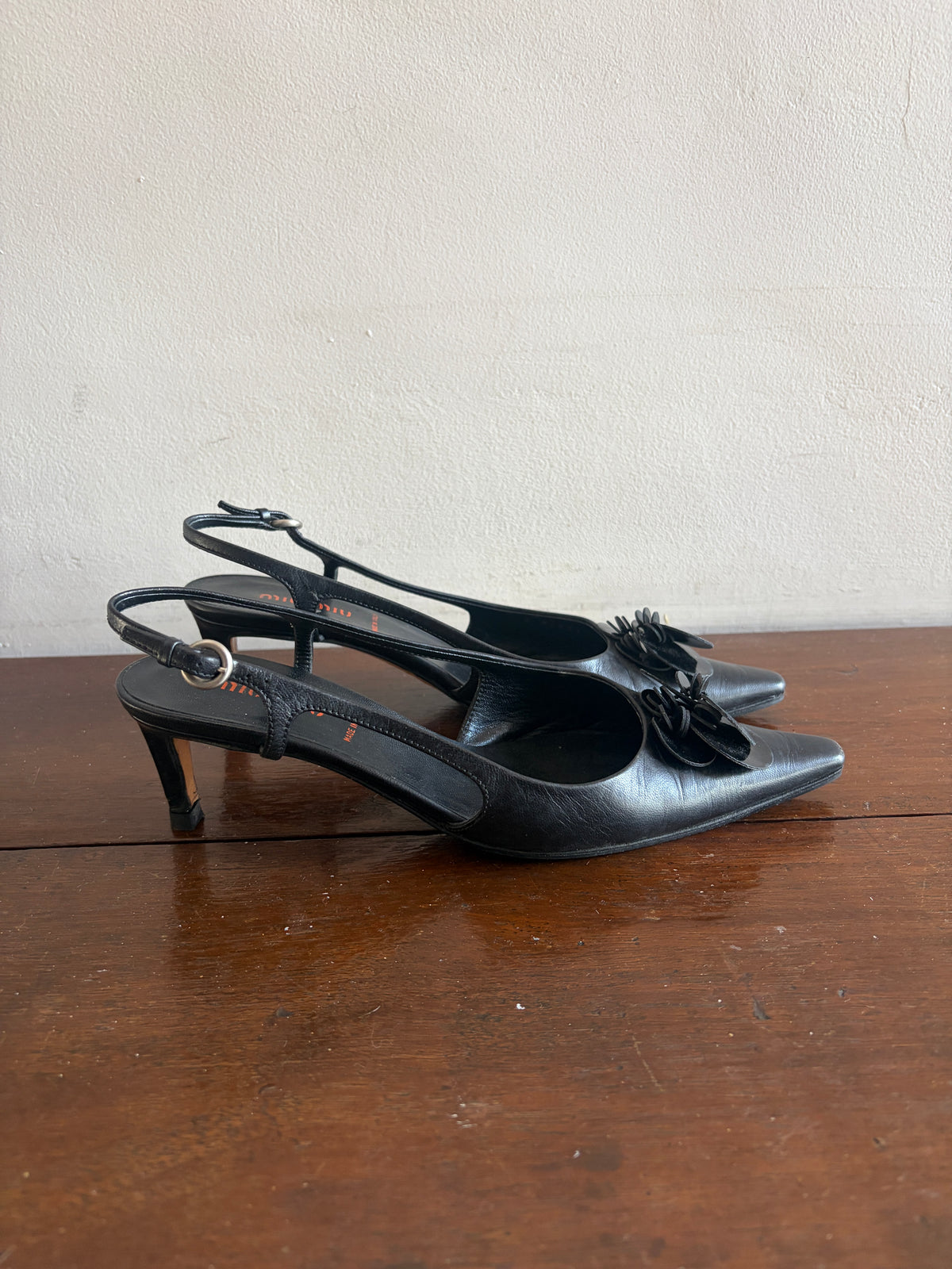 no 3339 / MIU MIU 36