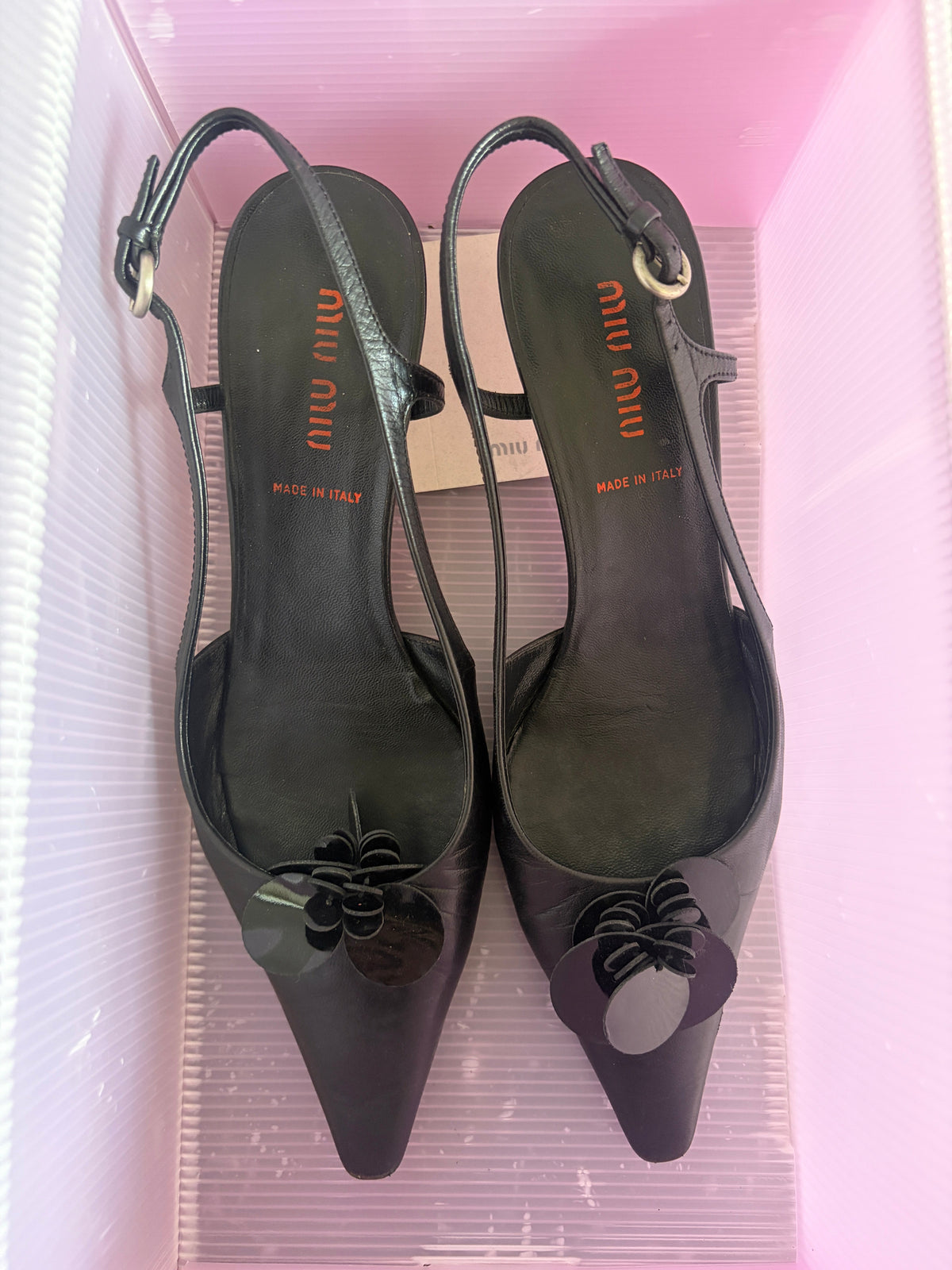 no 3339 / MIU MIU 36