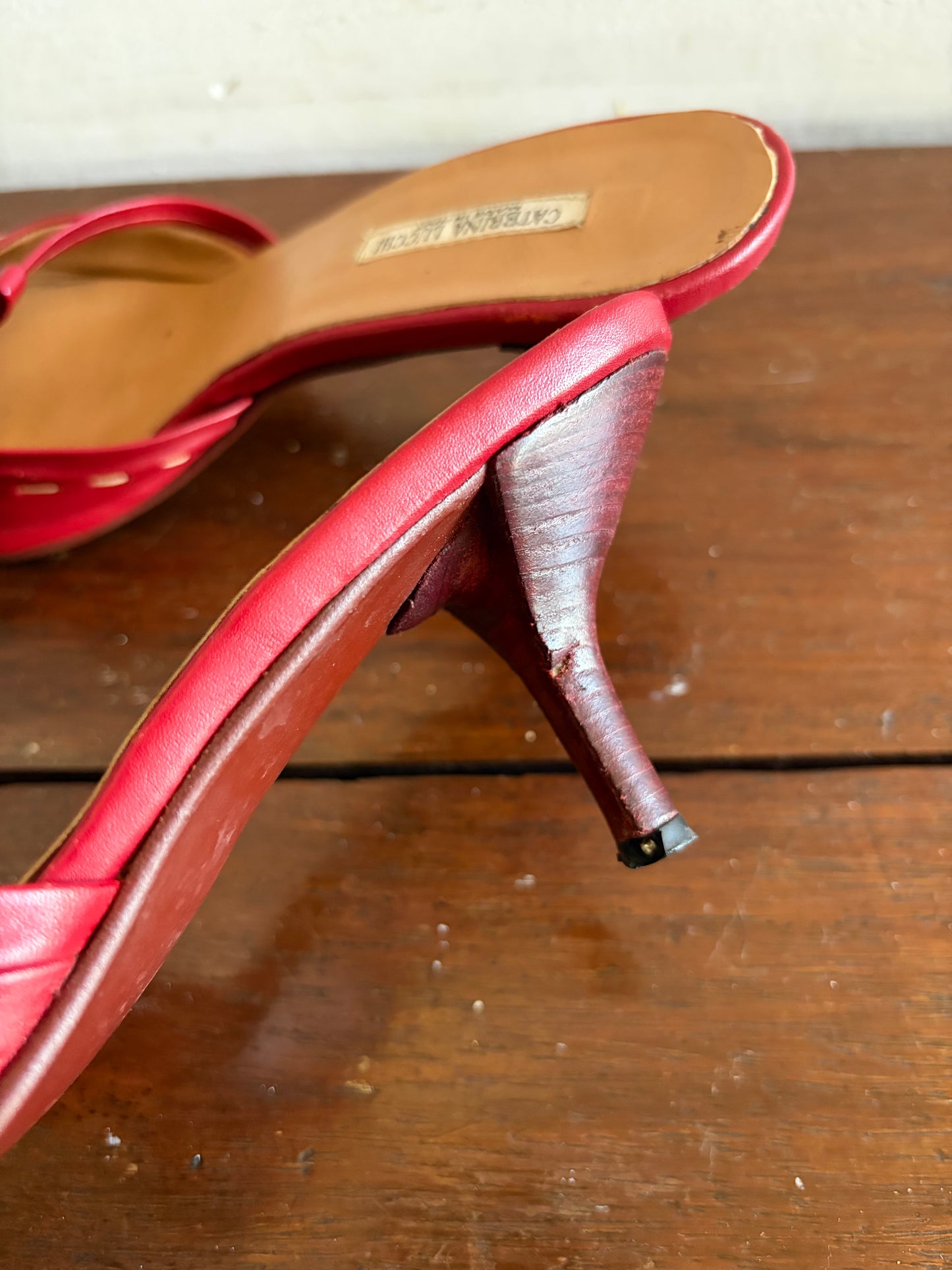 no 2549 / CATERINA LUCCHI