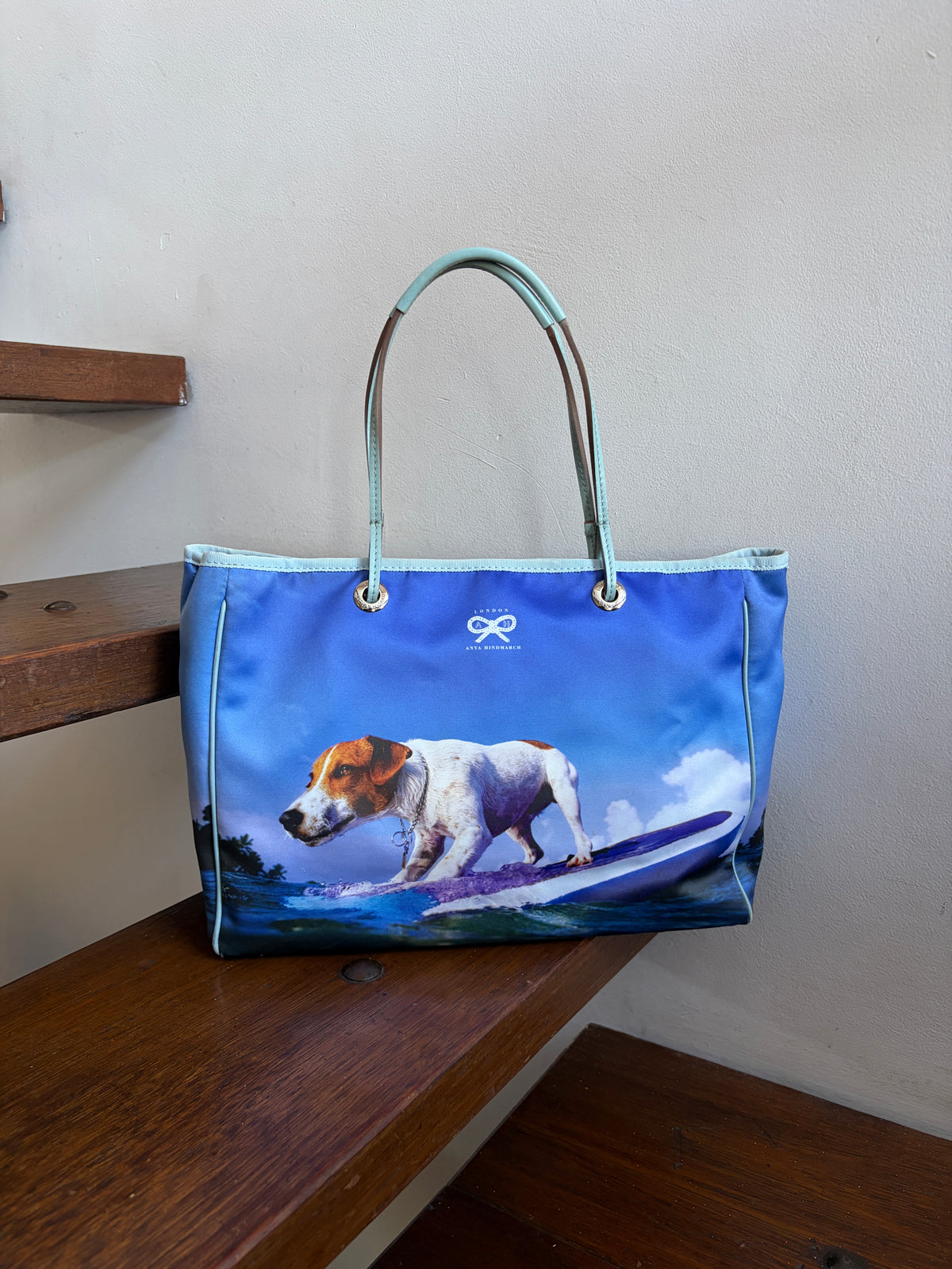 no 3262 / SURFING DOG