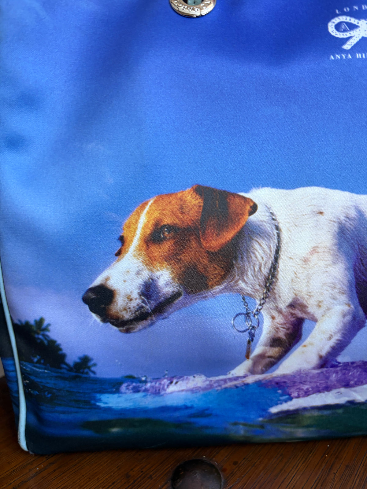 no 3262 / SURFING DOG