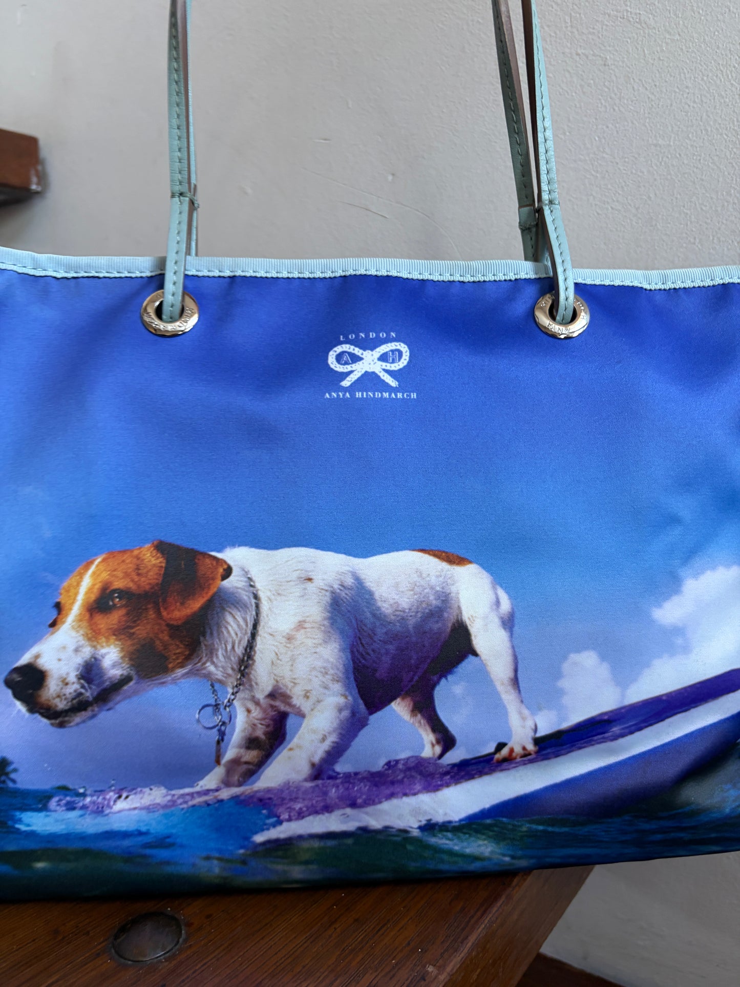 no 3262 / SURFING DOG