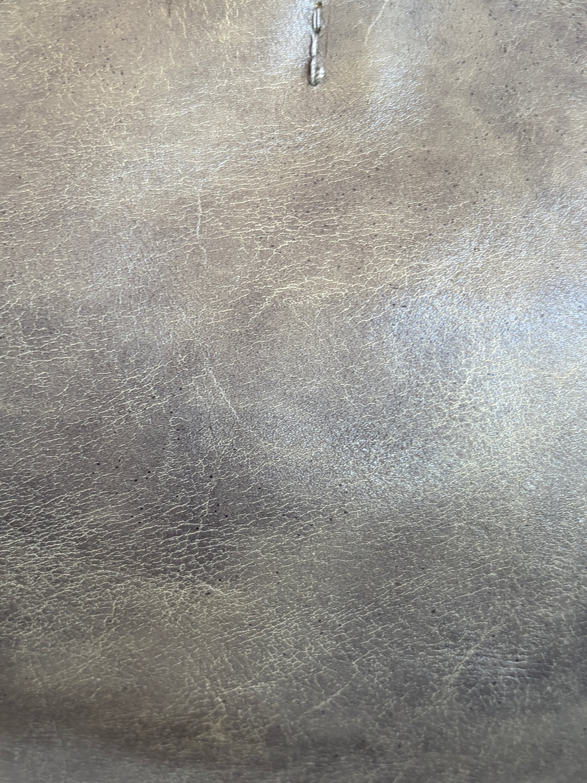 no 3364 / LILAC GREY